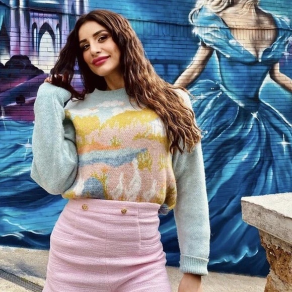 Zara Jacquard Knit Intarsia Countryside Goose Geese Sweater Blogger Favorite - Picture 5 of 15